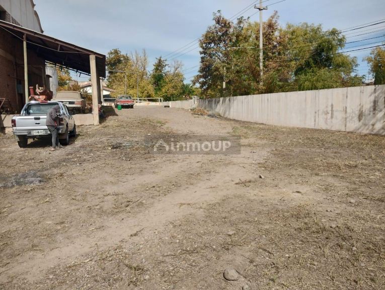 Bodega en Venta en Tunuyan, Mendoza