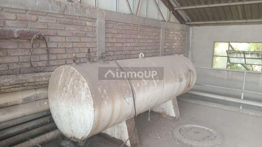Bodega en Venta en Tunuyan, Mendoza
