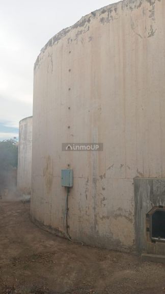 Bodega en Venta en Tunuyan, Mendoza