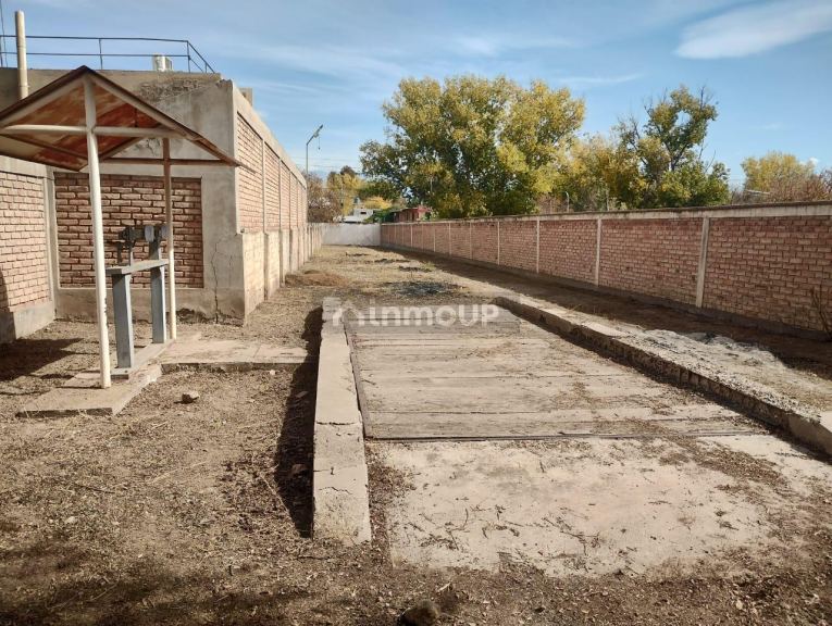 Bodega en Venta en Tunuyan, Mendoza