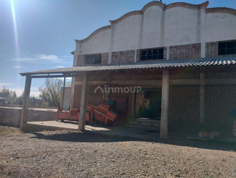 Bodega en Venta en Tunuyan, Mendoza