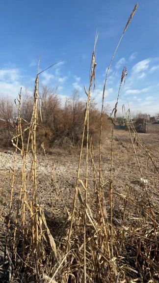 Lote en Venta en Guaymallen, Mendoza