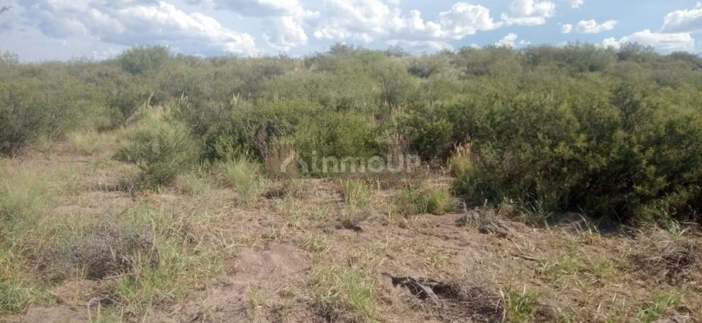Campo en Venta en San Rafael, Mendoza