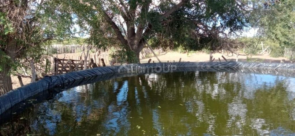 Campo en Venta en San Rafael, Mendoza