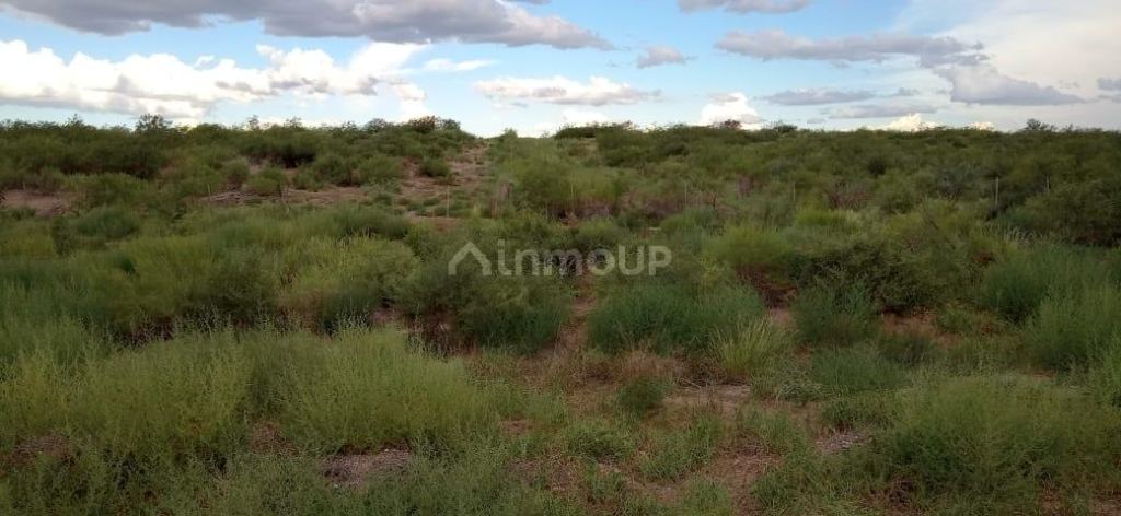Campo en Venta en San Rafael, Mendoza