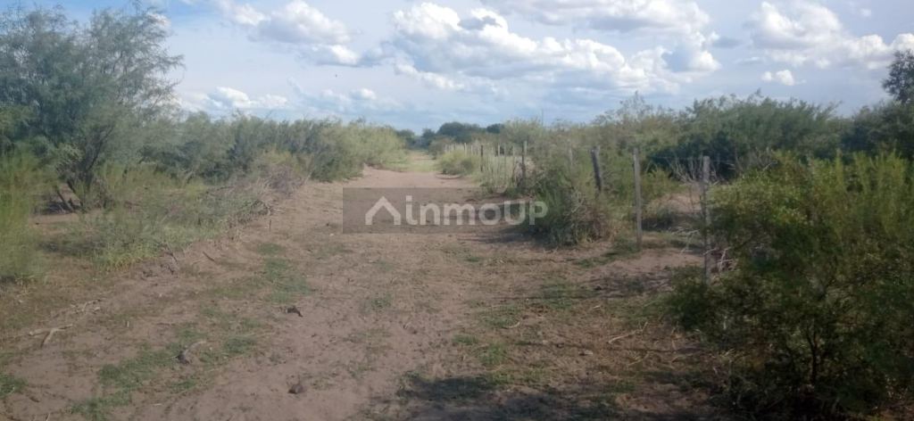 Campo en Venta en San Rafael, Mendoza