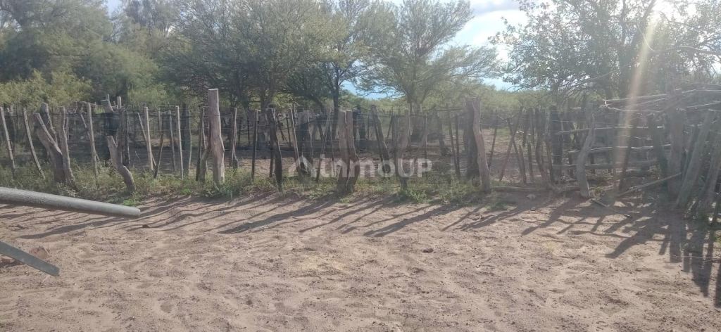 Campo en Venta en San Rafael, Mendoza