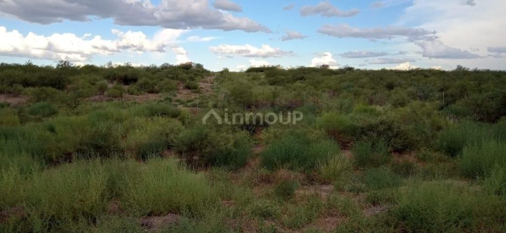 Campo en Venta en San Rafael, Mendoza