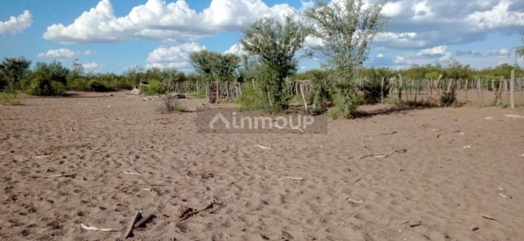 Campo en Venta en San Rafael, Mendoza