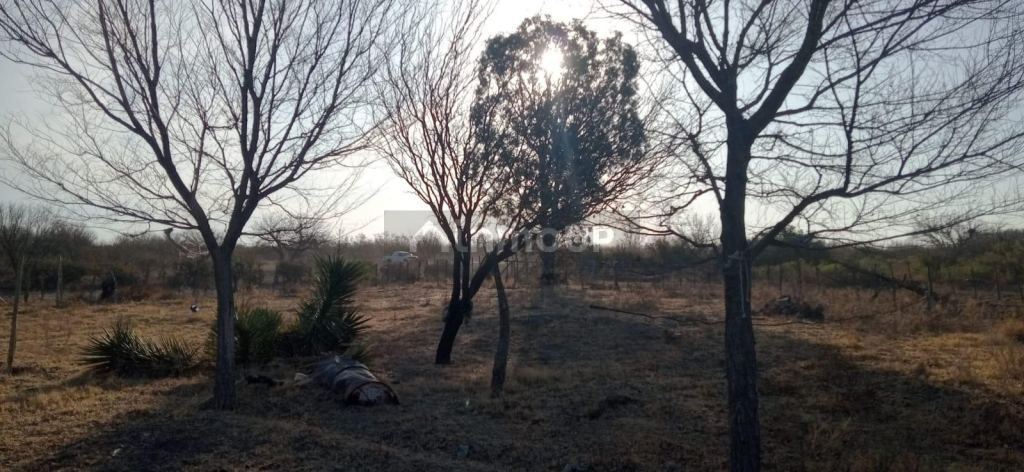 Campo en Venta en San Rafael, Mendoza