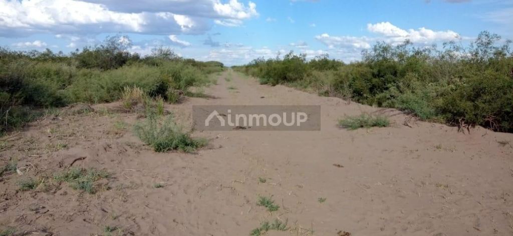Campo en Venta en San Rafael, Mendoza