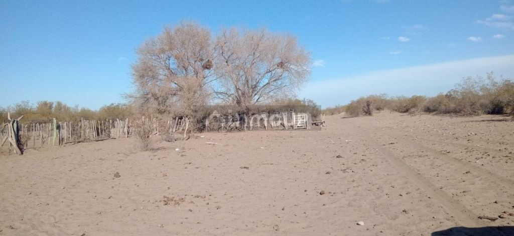 Campo en Venta en San Rafael, Mendoza
