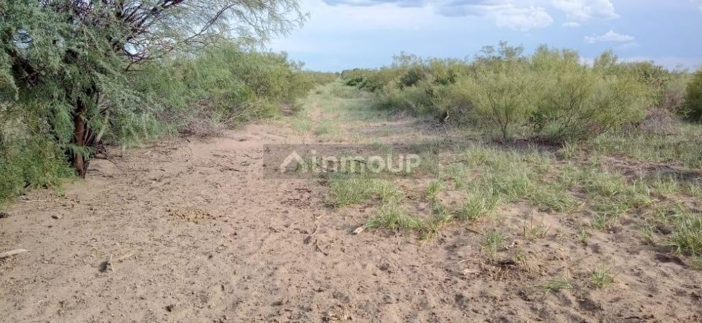 Campo en Venta en San Rafael, Mendoza