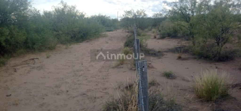Campo en Venta en San Rafael, Mendoza