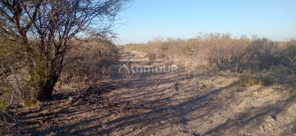 Campo en Venta en San Rafael, Mendoza