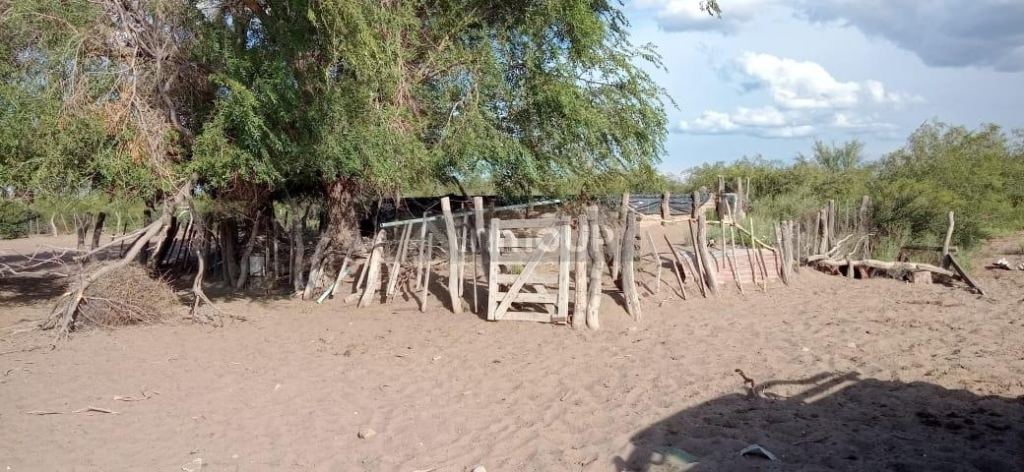 Campo en Venta en San Rafael, Mendoza