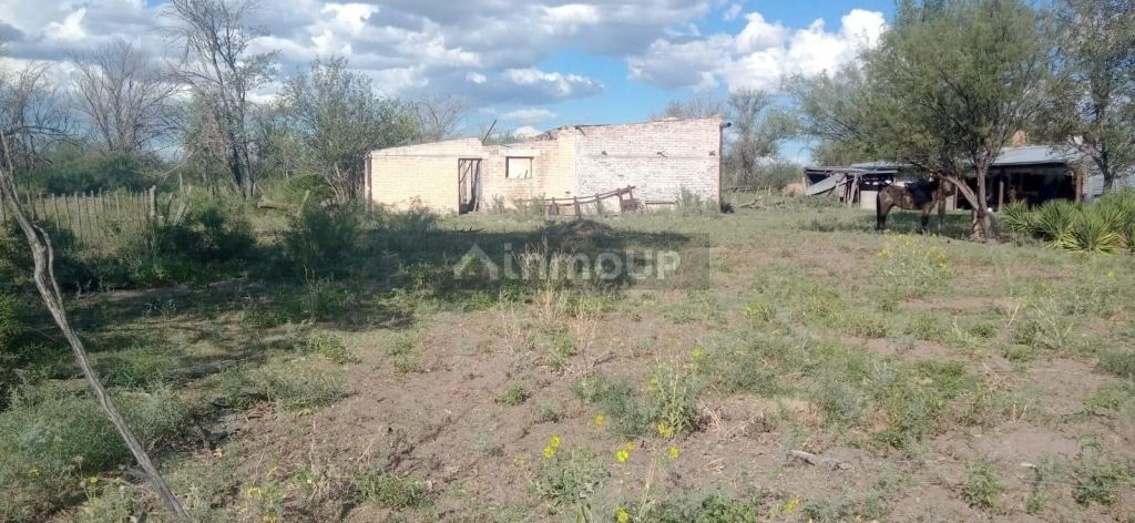 Campo en Venta en San Rafael, Mendoza