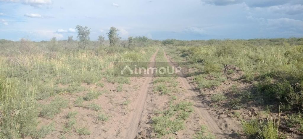 Campo en Venta en San Rafael, Mendoza