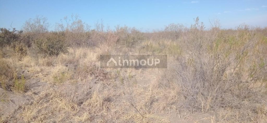 Campo en Venta en San Rafael, Mendoza