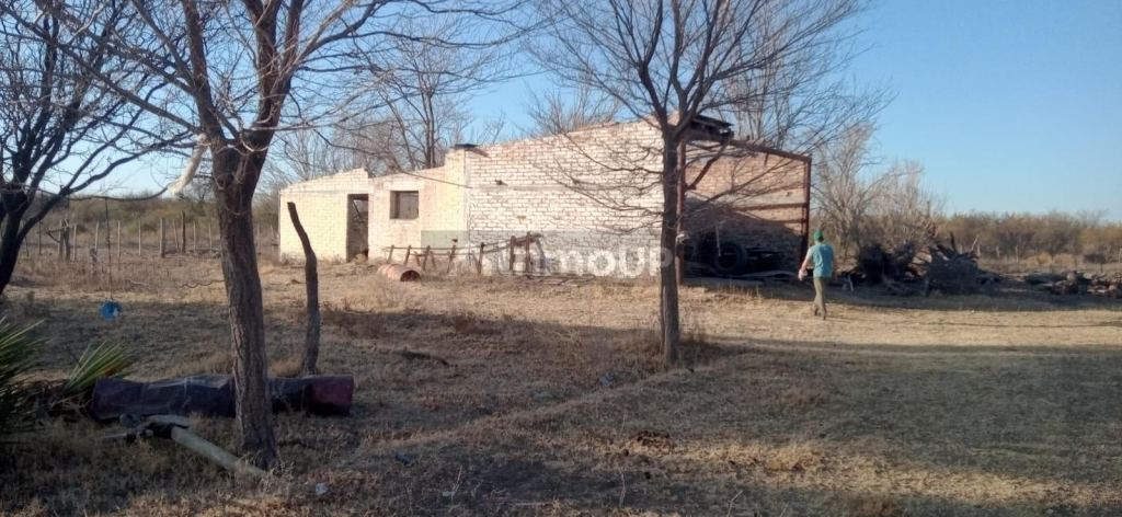 Campo en Venta en San Rafael, Mendoza