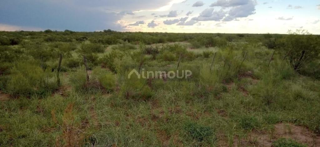 Campo en Venta en San Rafael, Mendoza