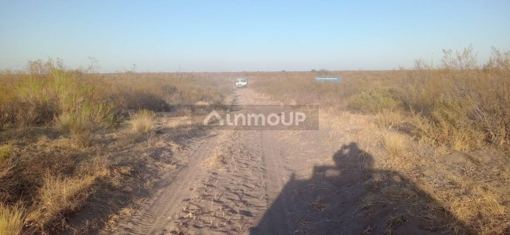 Campo en Venta en San Rafael, Mendoza