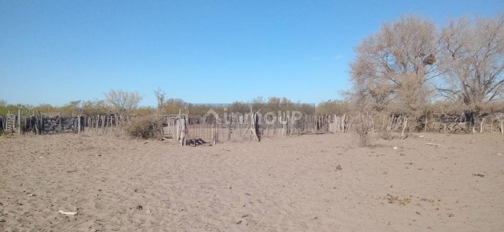 Campo en Venta en San Rafael, Mendoza