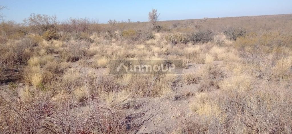 Campo en Venta en San Rafael, Mendoza