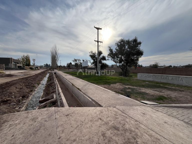 Lote en Venta en Lujan de Cuyo, Mendoza