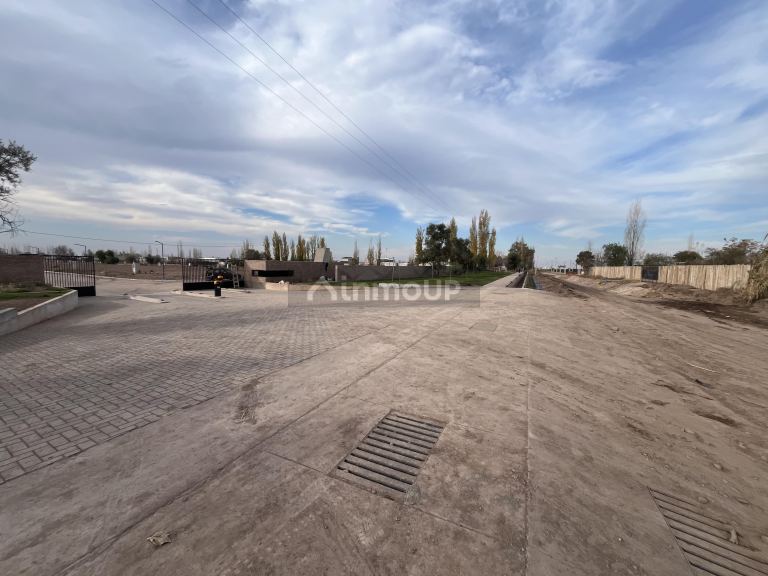 Lote en Venta en Lujan de Cuyo, Mendoza