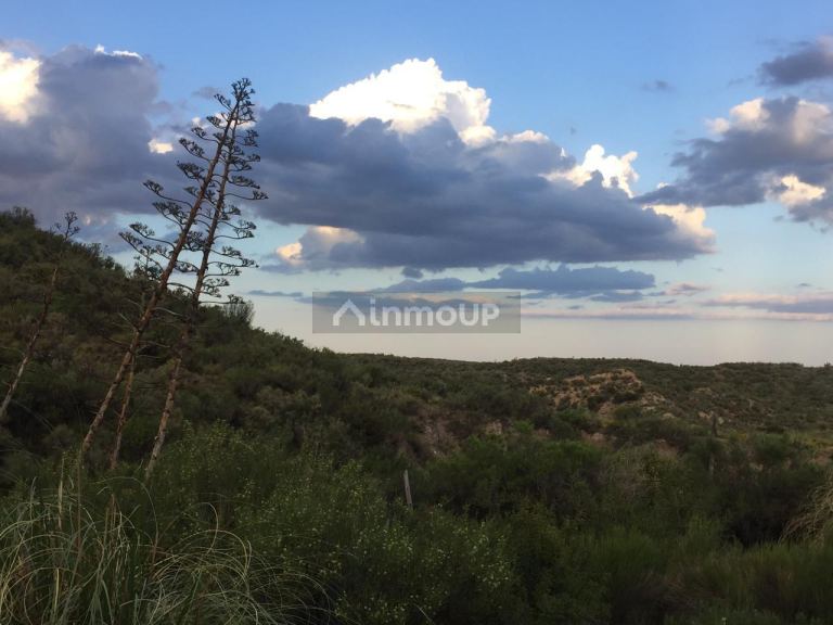 Tupungato Ruta 86 Km 20.6