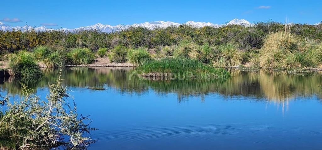 Campo en Venta en Tupungato, Mendoza - USD 450.000 | Inmoup - 9