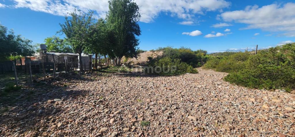 Campo en Venta en Tupungato, Mendoza - USD 450.000 | Inmoup - 7