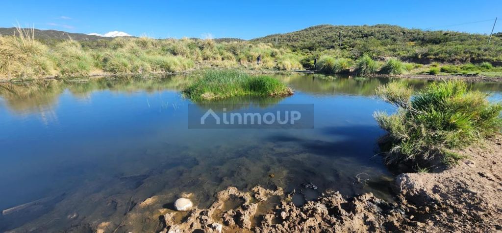 Campo en Venta en Tupungato, Mendoza - USD 450.000 | Inmoup - 6