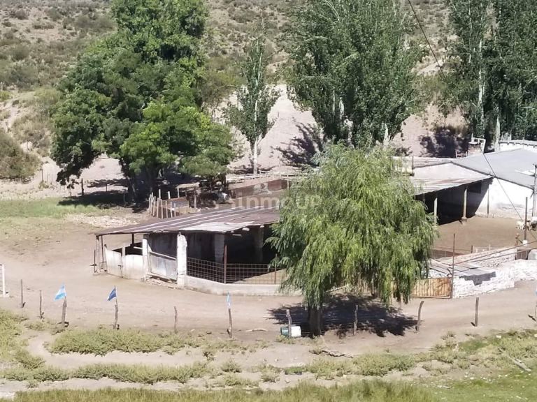 Tupungato Ruta 86 Km 20.6