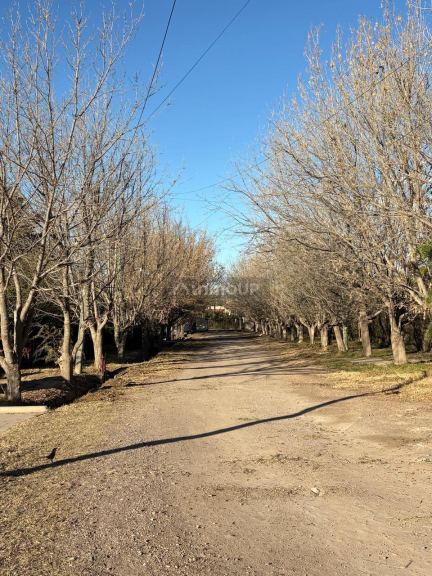 Lote en Venta en Lujan de Cuyo, Mendoza