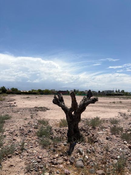 Lote en Venta en Maipu, Mendoza
