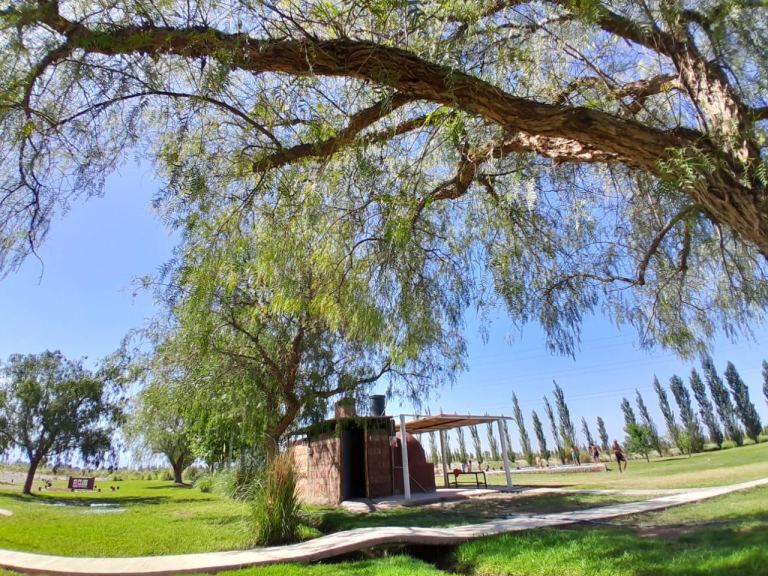 Terreno en Alquiler en Maipu, Mendoza