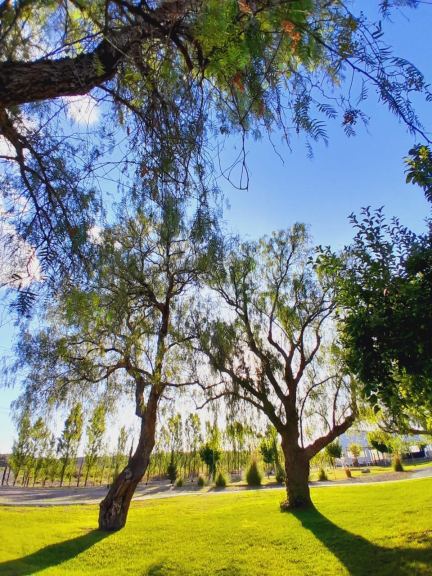 Terreno en Alquiler en Maipu, Mendoza
