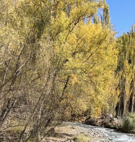 Lote en Venta en Lujan de Cuyo, Mendoza