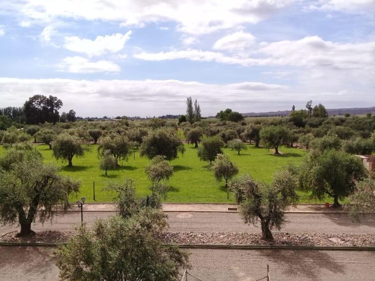 Lote en Venta en Maipu, Mendoza