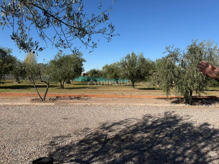 Lote en Venta en Maipu, Mendoza