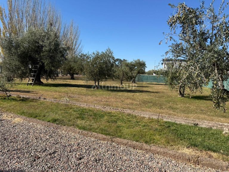 Lote en Venta en Maipu, Mendoza