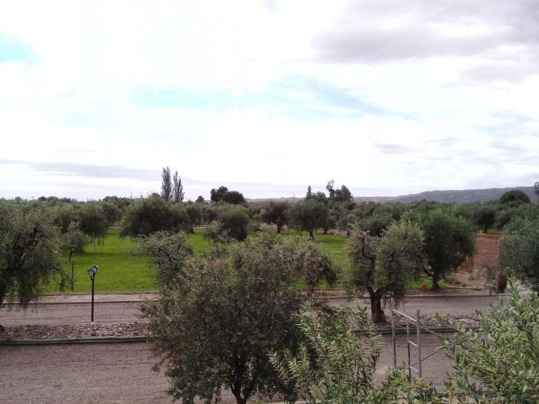 Lote en Venta en Maipu, Mendoza