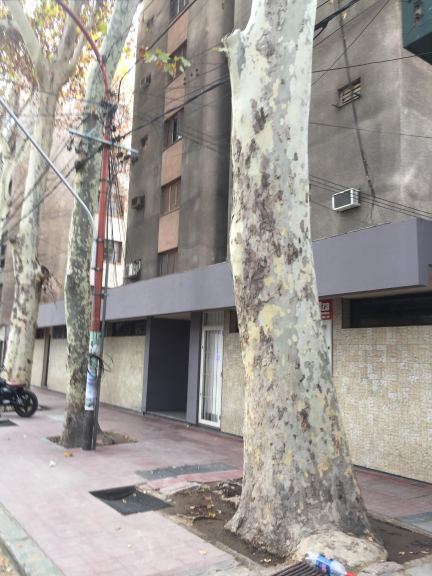 Departamento en Alquiler en Capital, Mendoza