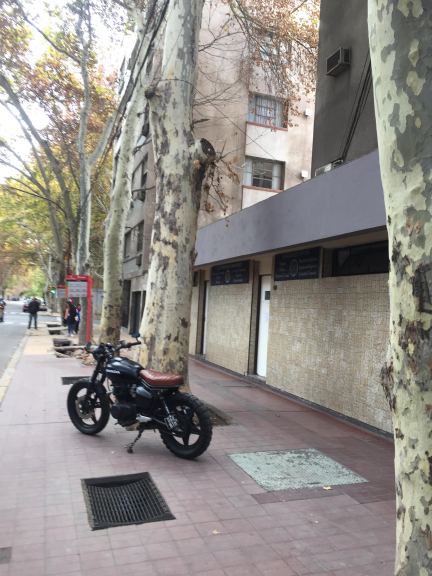 Departamento en Alquiler en Capital, Mendoza