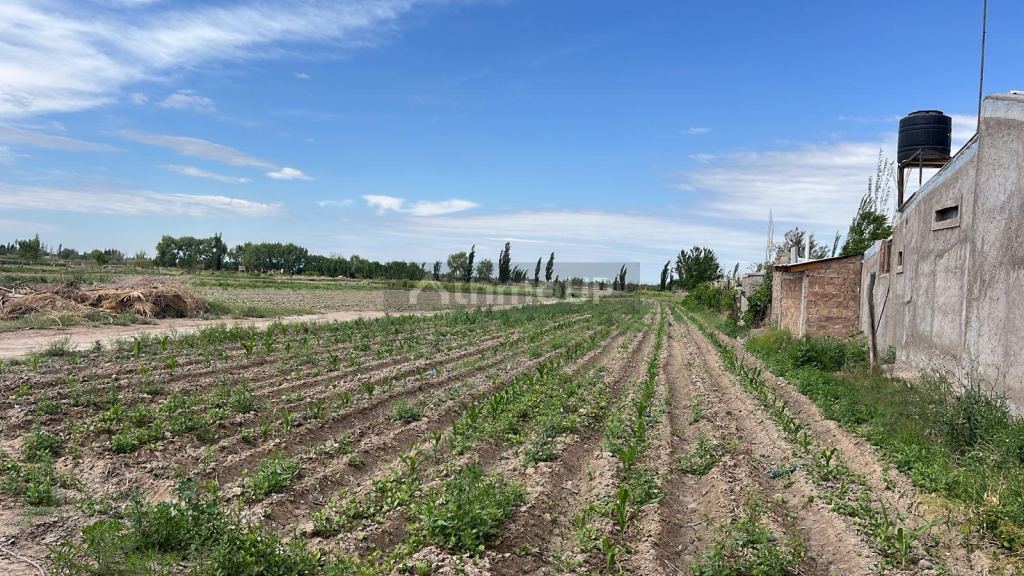 Finca en Venta en Guaymallen, Mendoza