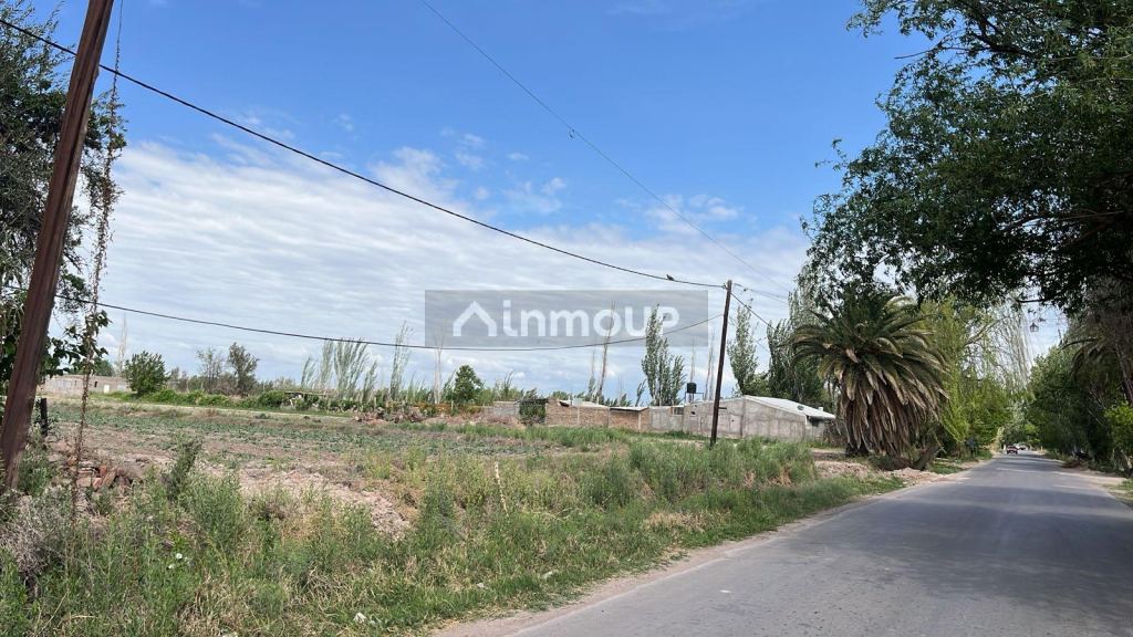 Finca en Venta en Guaymallen, Mendoza