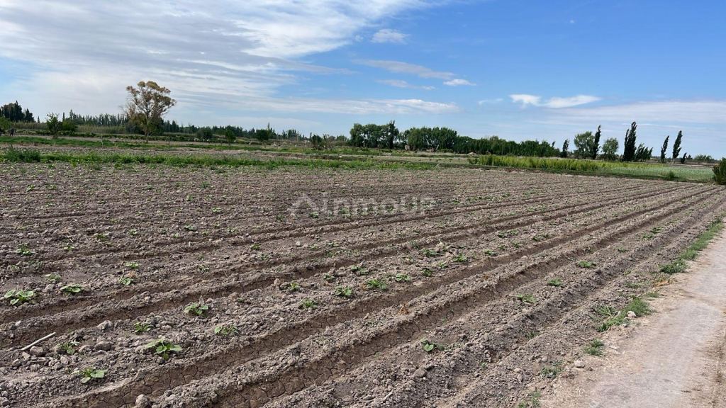 Finca en Venta en Guaymallen, Mendoza