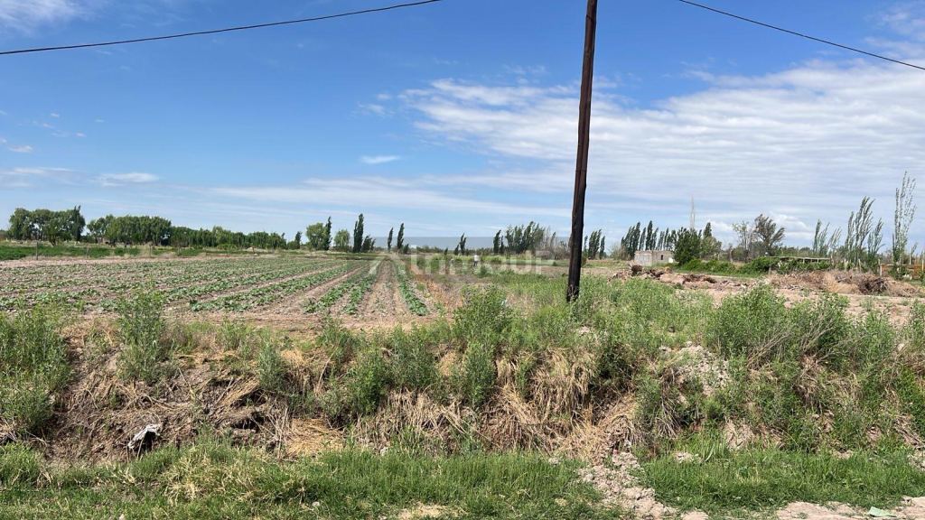 Finca en Venta en Guaymallen, Mendoza